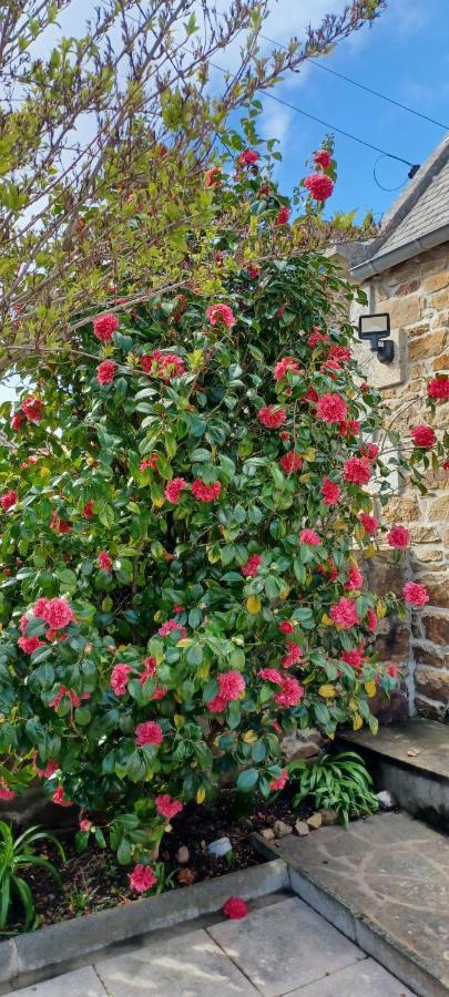 Cote De Granit Rose Pleumeur-Bodou